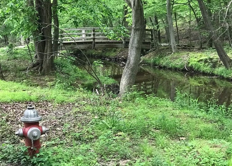GCA bridge over brook in the meadow