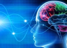Brain Wave blog image
