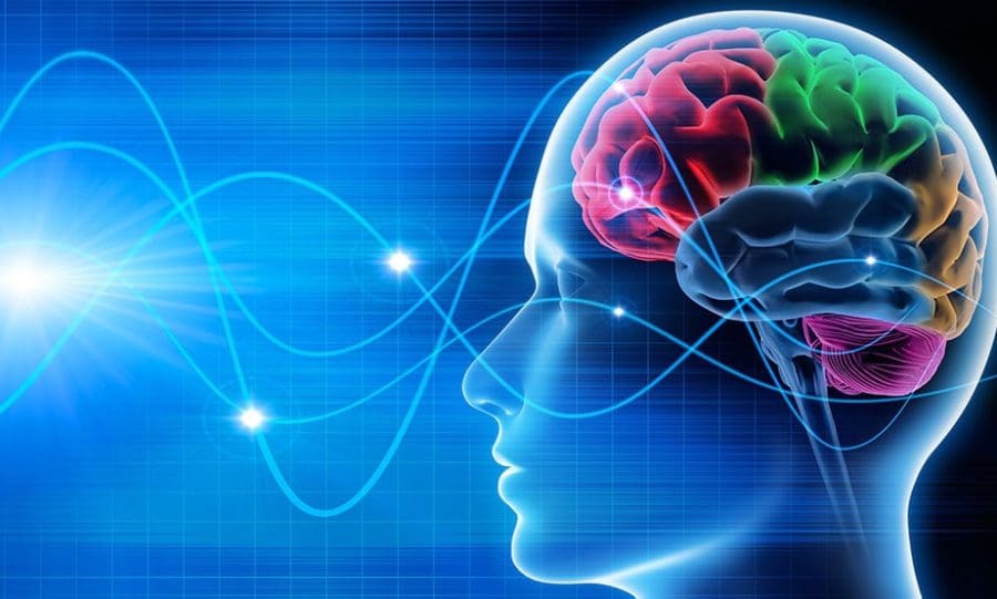 Brain Wave blog image