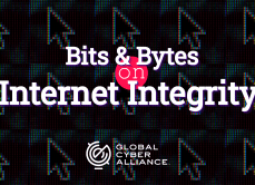Bits & Bytes of Internet Integrity